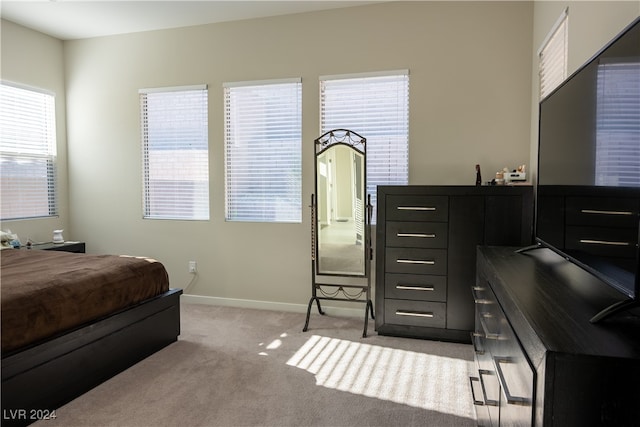 carpeted bedroom featuring multiple windows