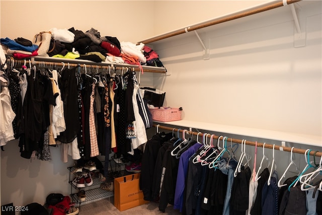 spacious closet featuring carpet flooring