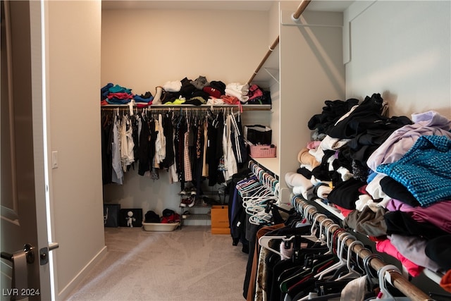 spacious closet featuring carpet floors