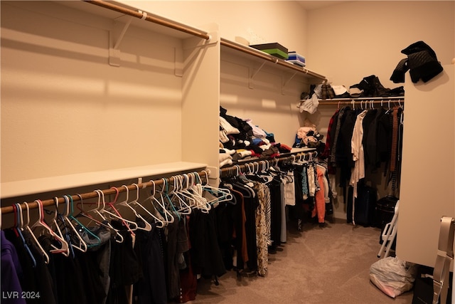 spacious closet featuring carpet