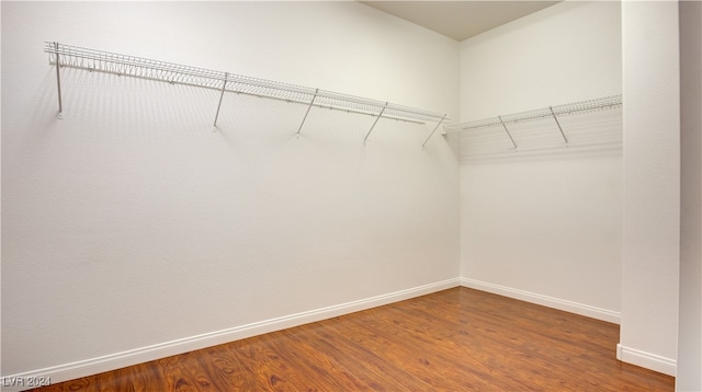 spacious closet with hardwood / wood-style floors