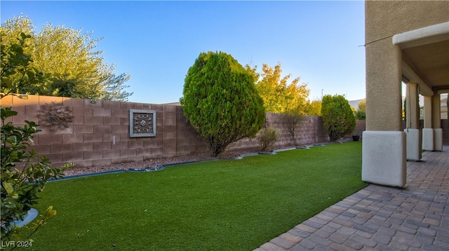 view of yard featuring a patio area