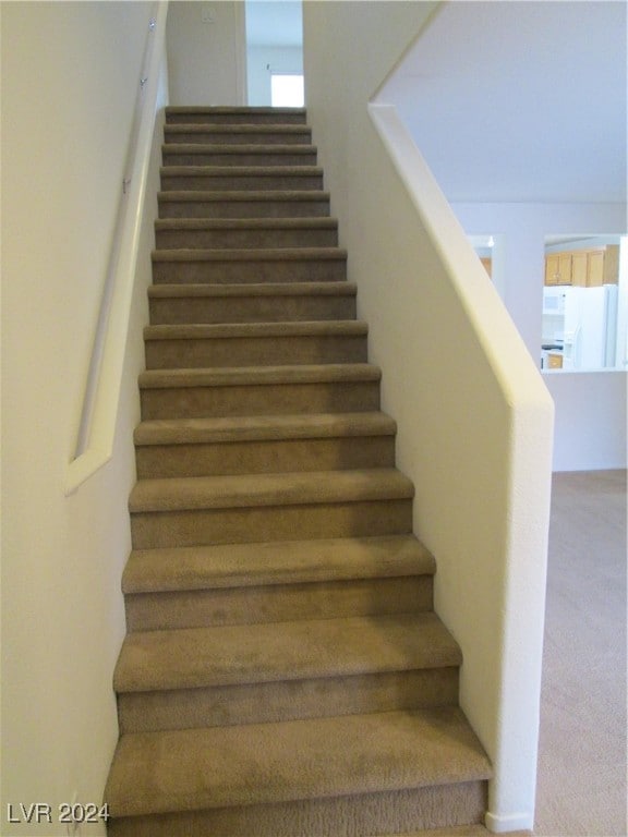 staircase with carpet floors