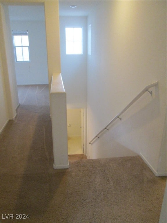 stairway with carpet floors