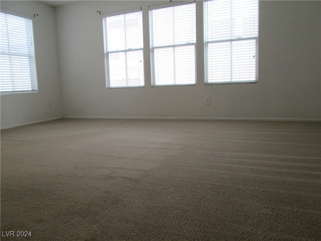 carpeted spare room with a wealth of natural light