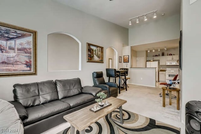 living room featuring rail lighting and light colored carpet