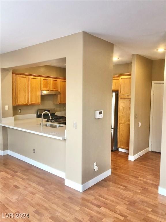 kitchen featuring light hardwood / wood-style floors, kitchen peninsula, sink, and appliances with stainless steel finishes