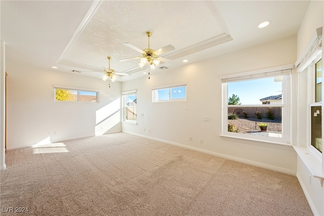 carpeted spare room featuring a tray ceiling and ceiling fan