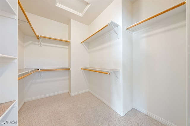 walk in closet featuring light carpet