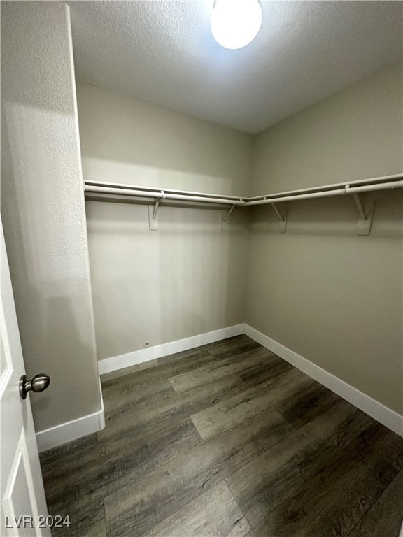 spacious closet featuring dark hardwood / wood-style floors