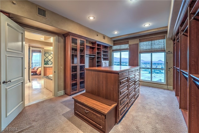 walk in closet featuring light colored carpet