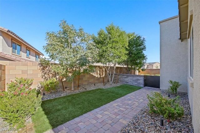 view of yard with a patio area and a fenced backyard