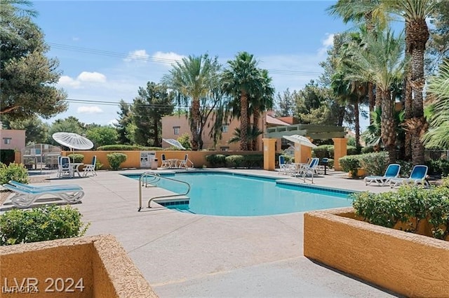 view of pool featuring a patio area