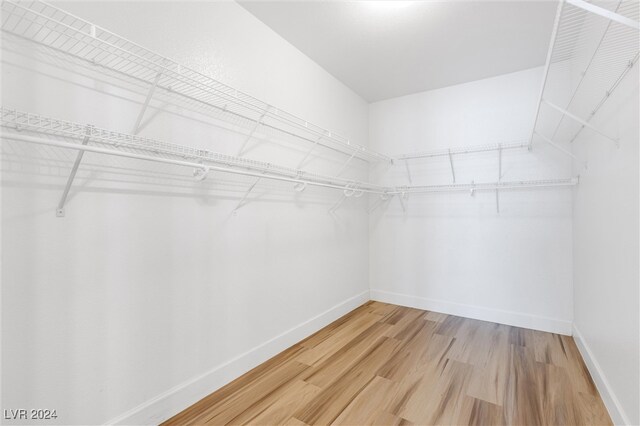 spacious closet with wood-type flooring