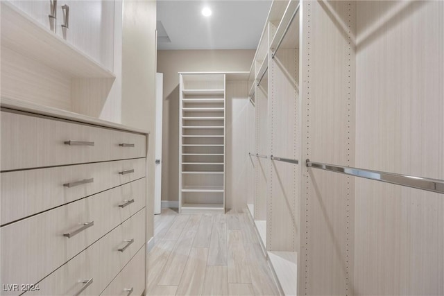 view of walk in closet