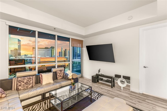 living room featuring hardwood / wood-style floors and a raised ceiling