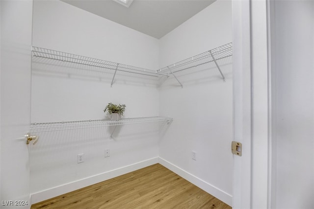 spacious closet featuring wood-type flooring