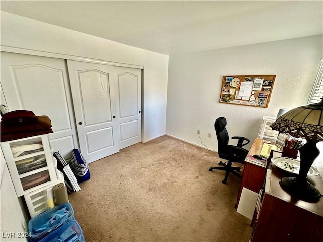 2153 Camel Mesa Dr, Laughlin, NV 89029 - office space featuring carpet