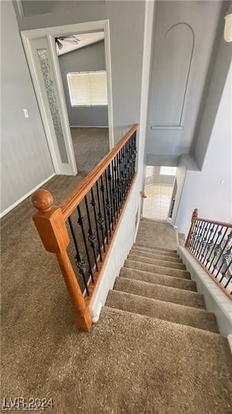 stairway featuring carpet