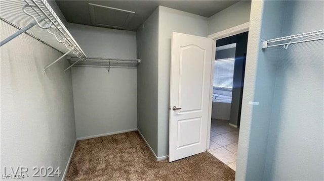 walk in closet with carpet