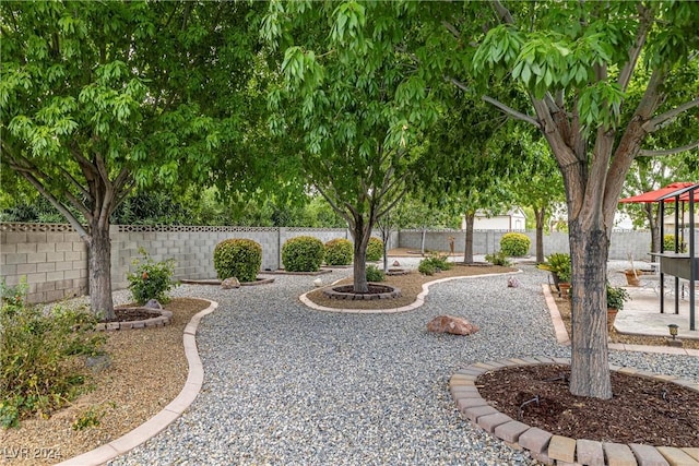 view of yard featuring a patio area