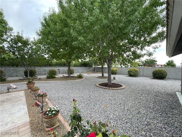 view of yard with a patio area