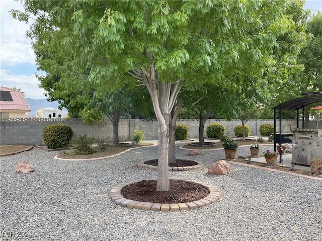 view of yard with a patio