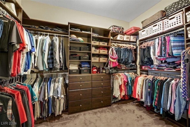 spacious closet featuring carpet floors