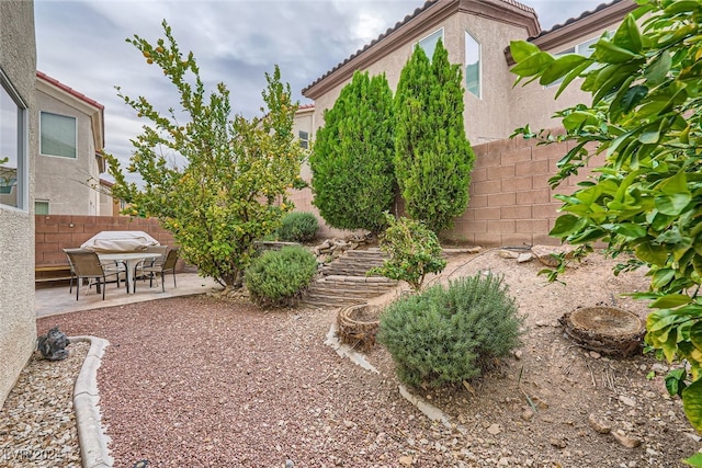 view of yard with a patio area