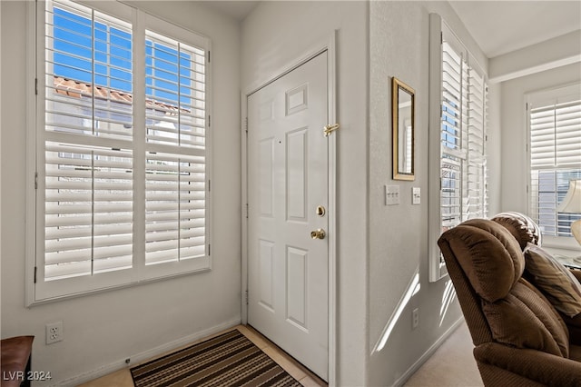 foyer with plenty of natural light