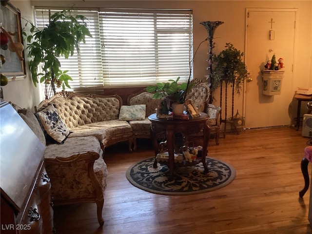 living room featuring hardwood / wood-style flooring