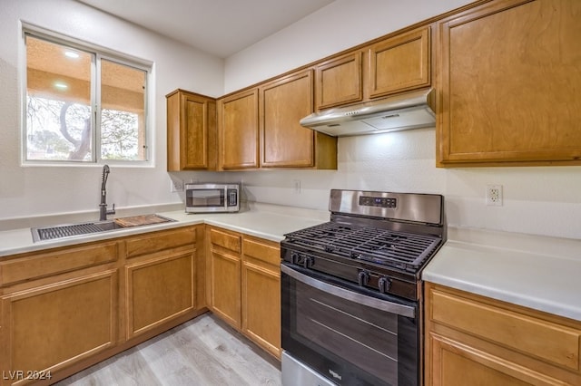 kitchen with appliances with stainless steel finishes, light hardwood / wood-style floors, and sink