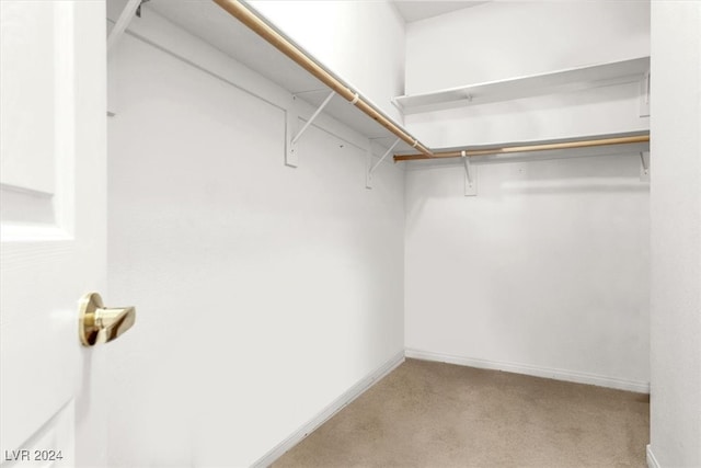 spacious closet with light carpet