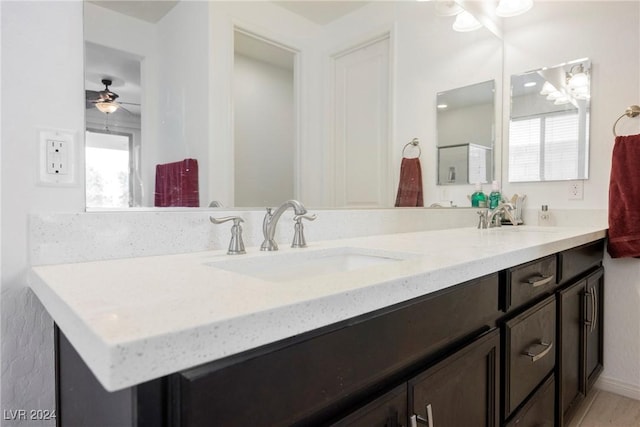 full bathroom featuring double vanity, plenty of natural light, and a sink