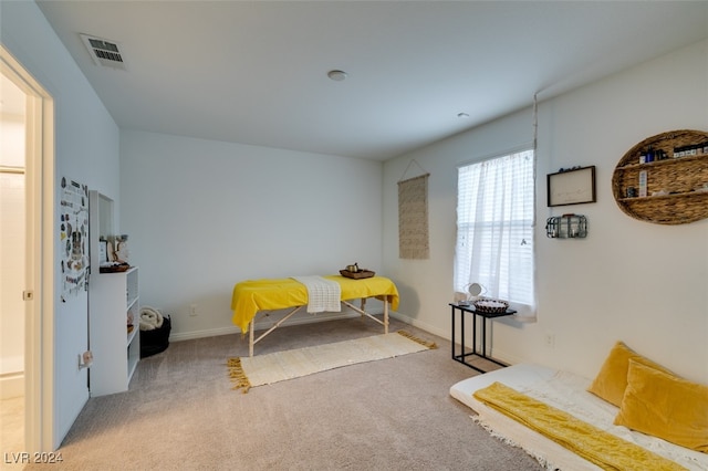 sitting room featuring light colored carpet