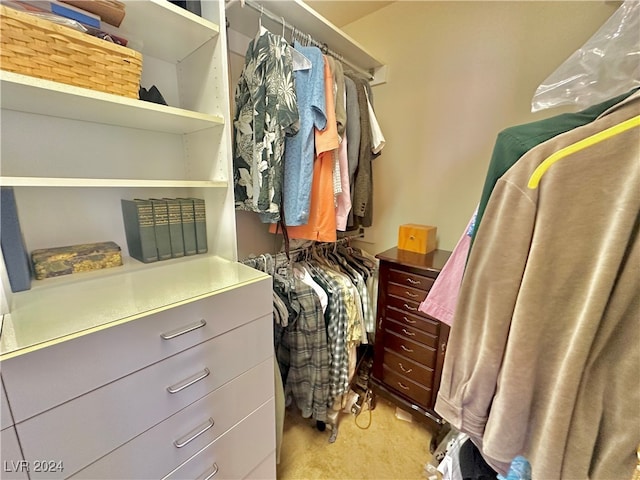 walk in closet with light colored carpet