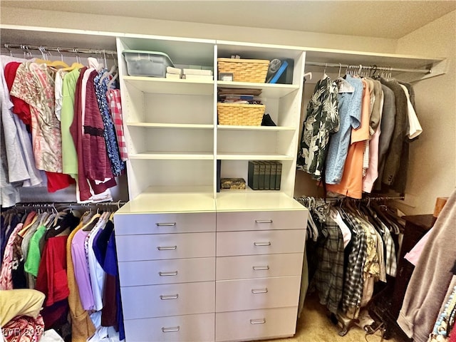 walk in closet featuring carpet flooring