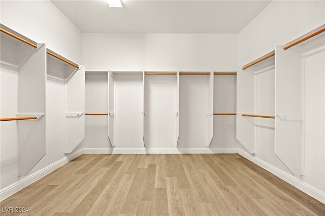 walk in closet with light hardwood / wood-style flooring