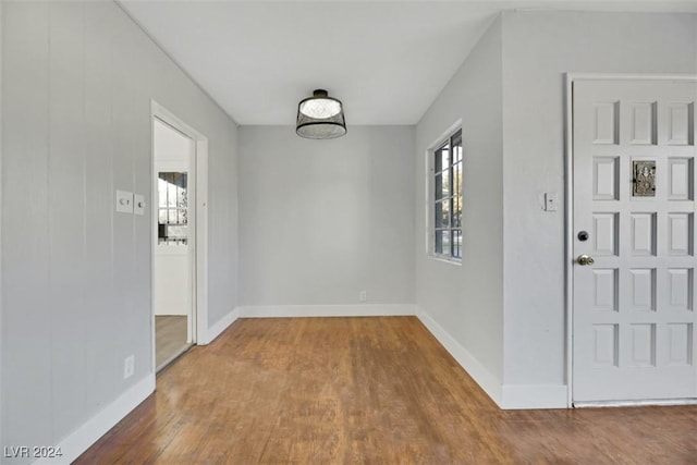 foyer featuring wood-type flooring