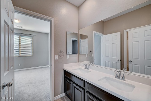 bathroom with vanity