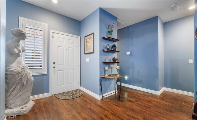 entrance foyer with dark hardwood / wood-style floors