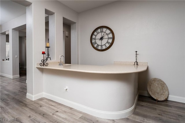 interior space featuring hardwood / wood-style flooring and sink