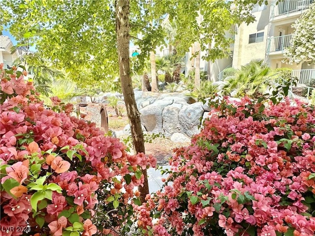 3550 Bay Sands Dr Unit 2089, Laughlin, NV 89029 - photo 53