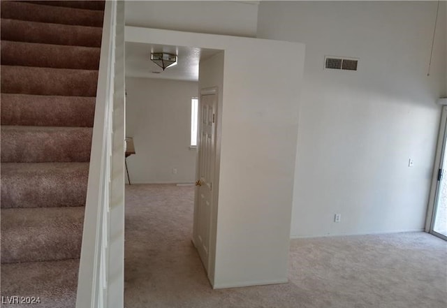 stairway featuring carpet and plenty of natural light