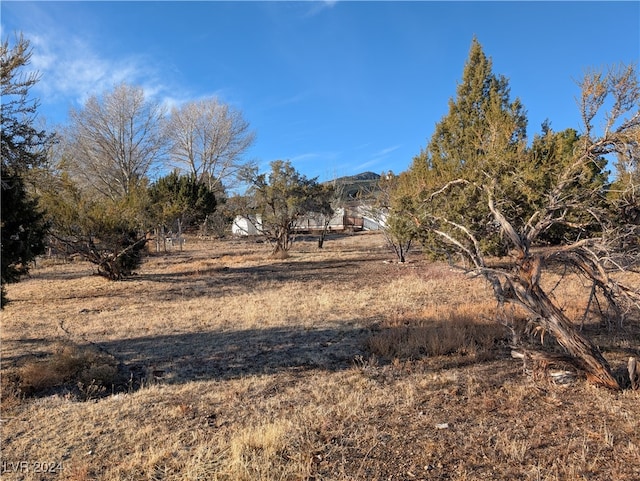 view of local wilderness featuring a rural view