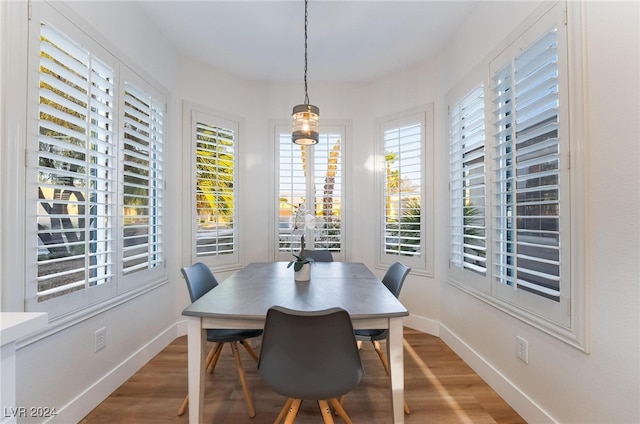 dining area featuring hardwood / wood-style flooring