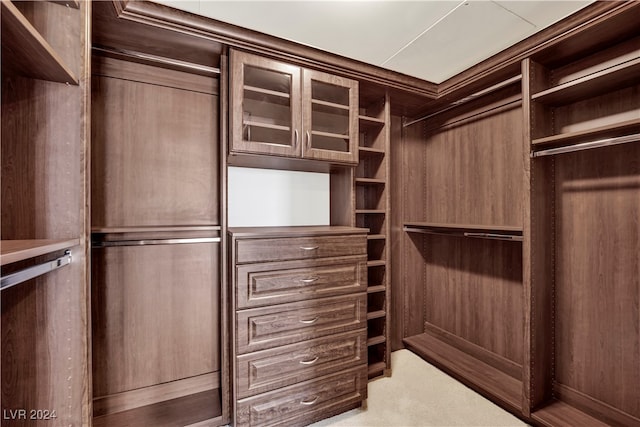 walk in closet with light carpet