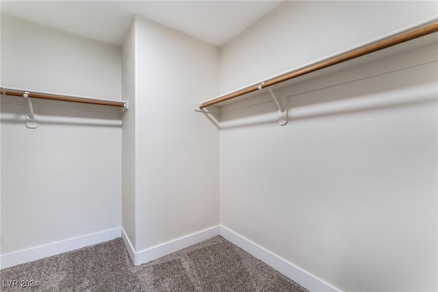 spacious closet featuring carpet