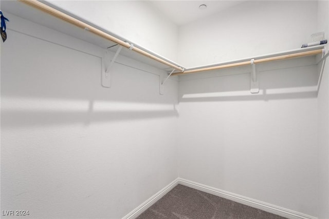 spacious closet with carpet flooring