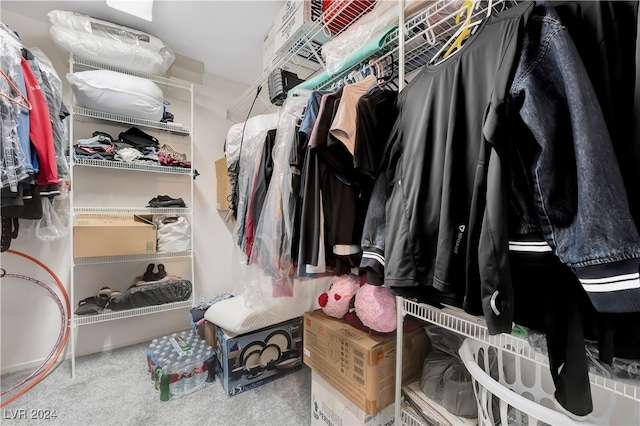 spacious closet featuring carpet